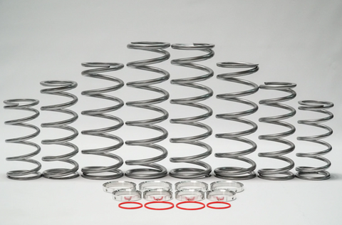 XP Pro (DRS) Dual Rate Spring Kit