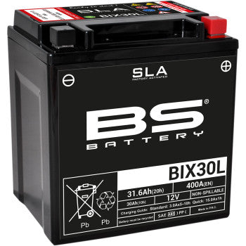 BS BATTERY 2113-0644 300631 SLA Factory- Activated AGM Maintenance-Free Battery Battery - BIX30L (YIX)