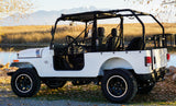 ROXOR Backseat and Roll Cage kit (2018-2025)