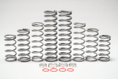 Polaris XP Turbo & XP4 Turbo (DRS) Dual Rate Spring Kit – Rock Life ...